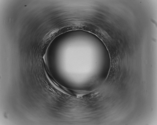 X0000098200773200804241252