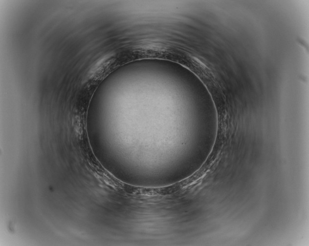 X0000098200774200804241252