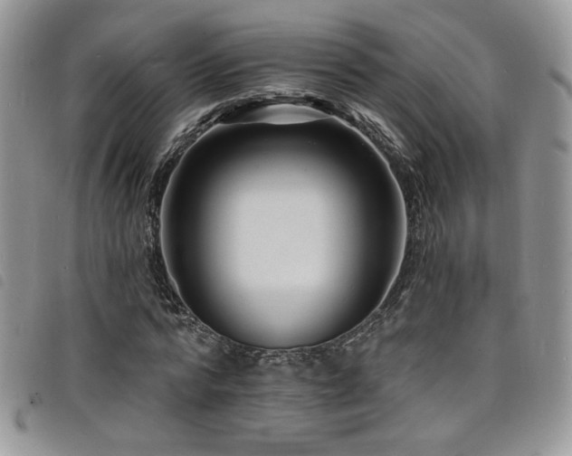 X0000098200776200804241252