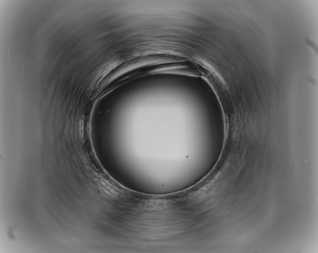 X0000098200777200804241252