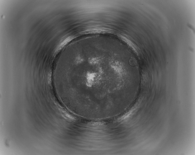 X0000098200778200804241252