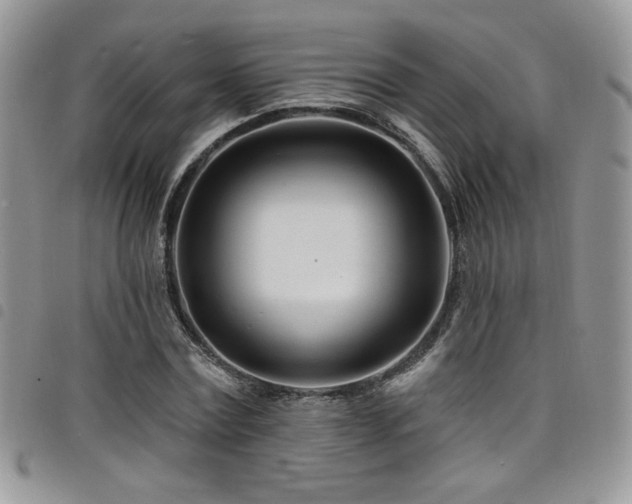 X0000098200779200804241252