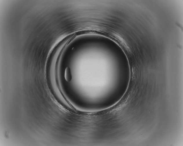 X0000098200780200804241252