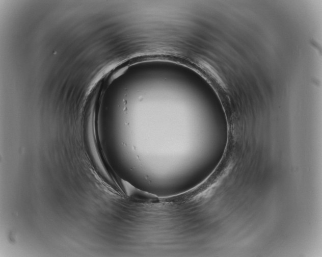 X0000098200781200804241252