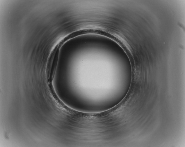 X0000098200783200804241252