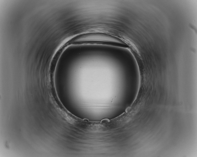 X0000098200784200804241252