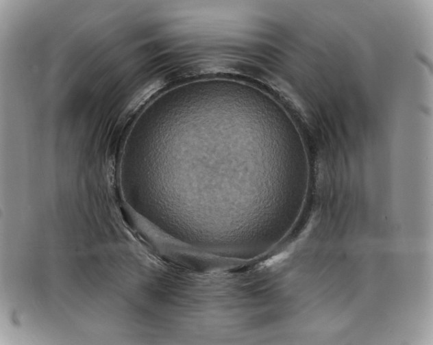 X0000098200785200804241252