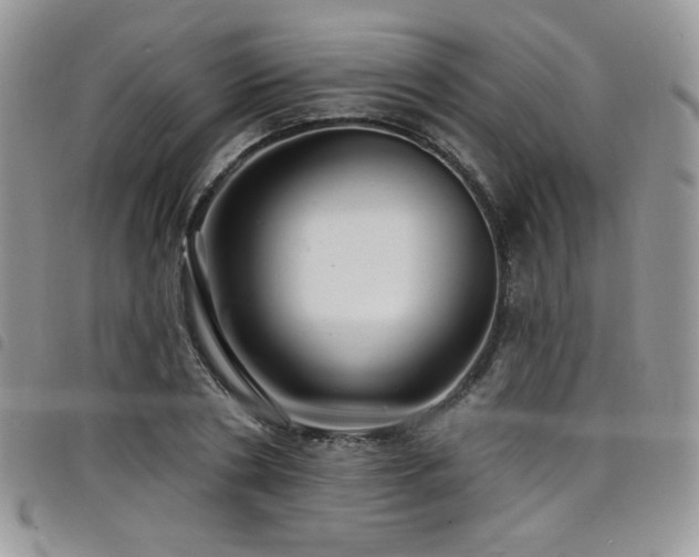X0000098200786200804241251