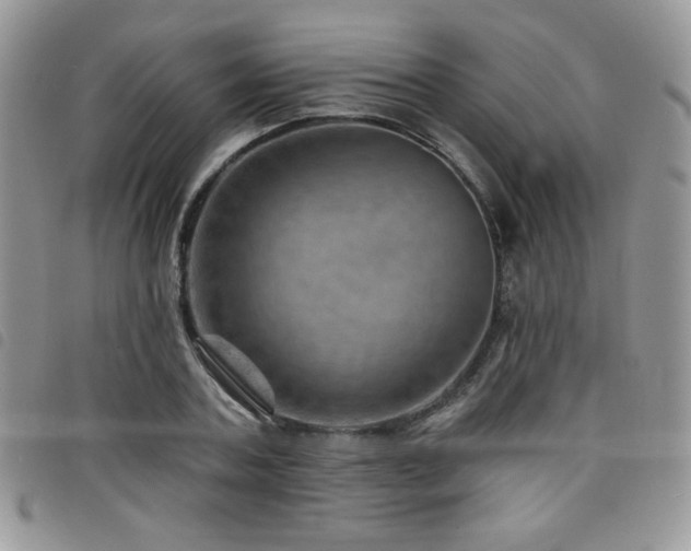 X0000098200787200804241251