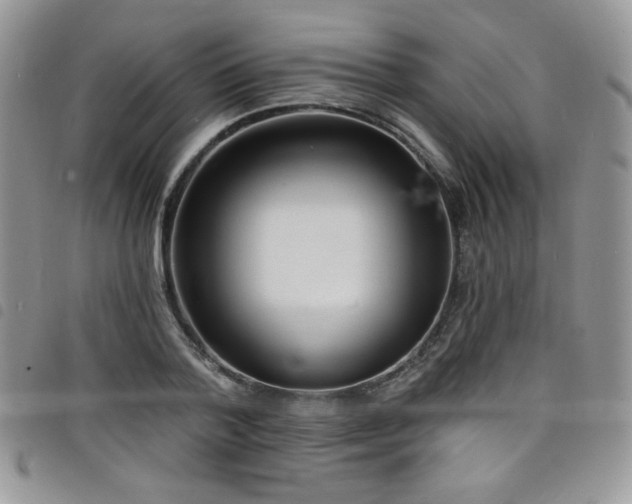 X0000098200788200804241251