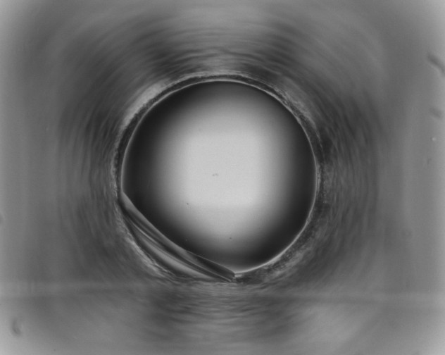 X0000098200789200804241251