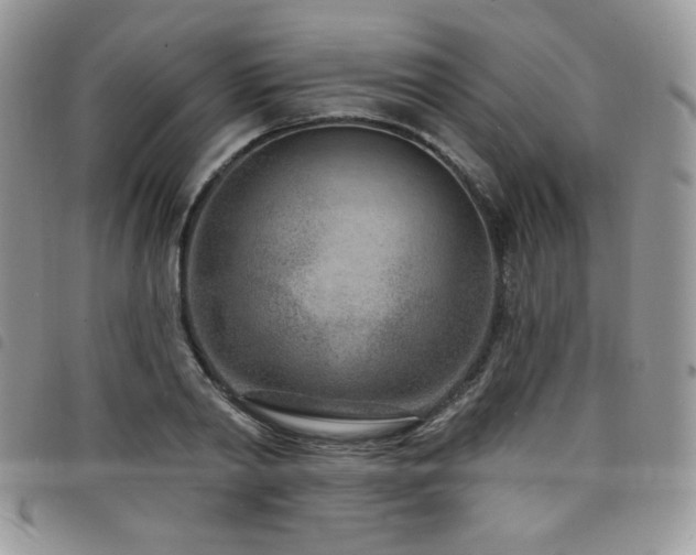 X0000098200790200804241251