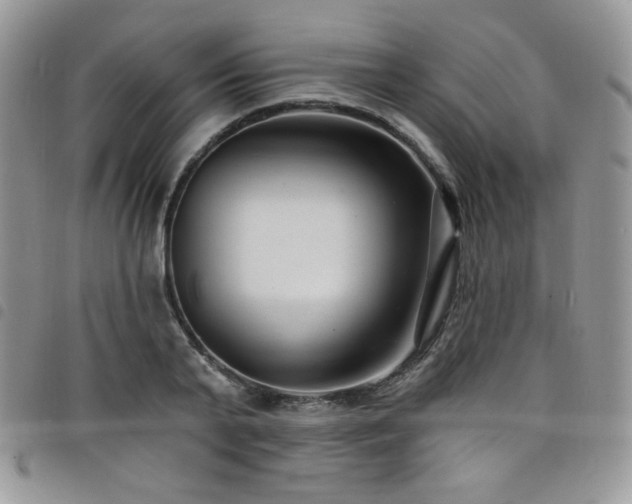 X0000098200791200804241251