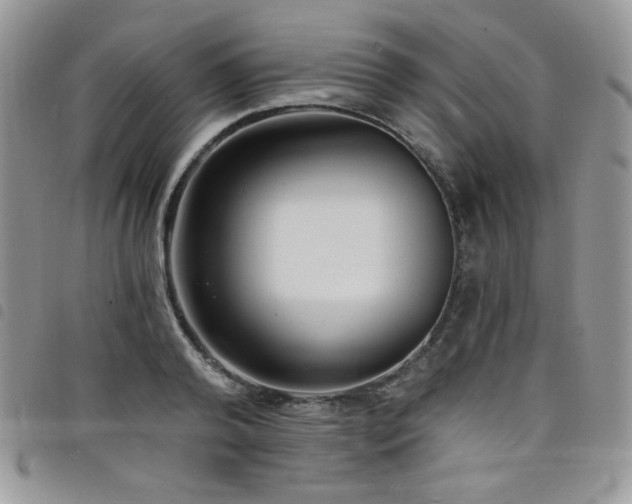 X0000098200792200804241251