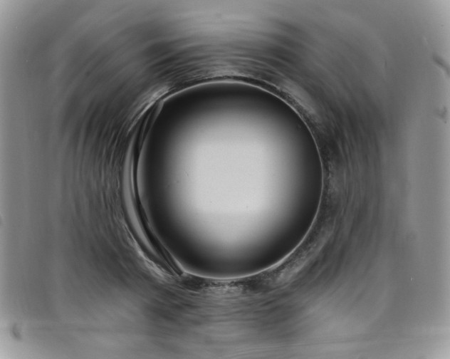 X0000098200793200804241251