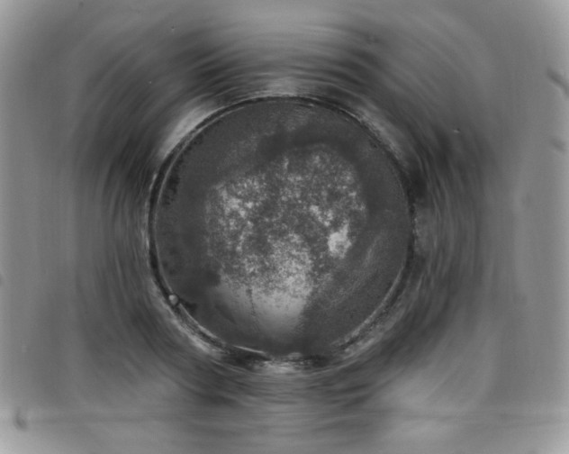 X0000098200794200804241251