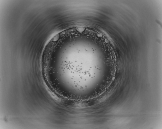 X0000098200795200804241251