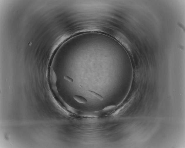 X0000098200797200804241251