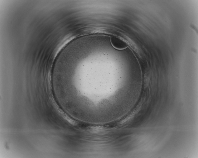 X0000098200798200804241251