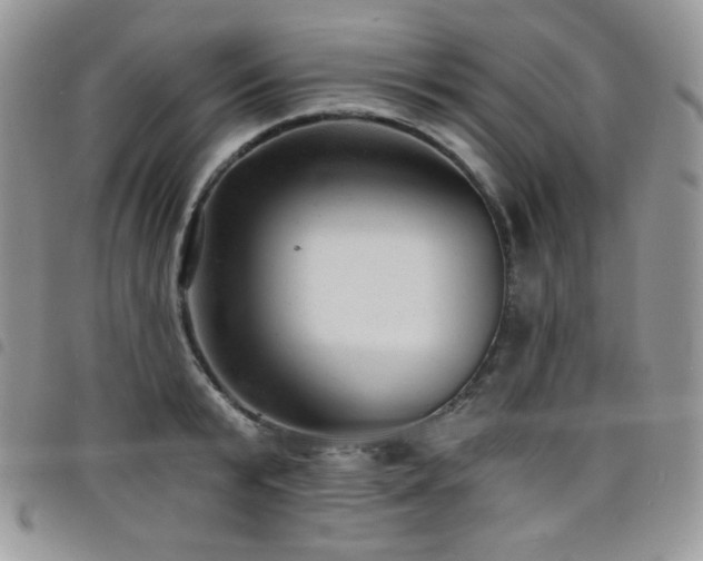 X0000098200799200804241251