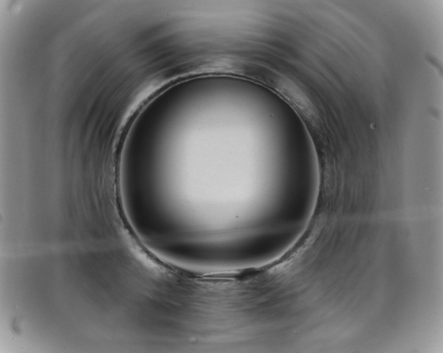 X0000098200800200804241251