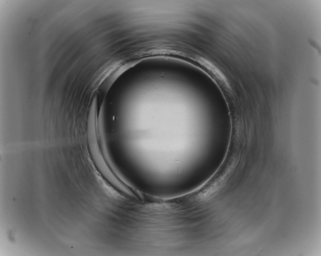 X0000098200801200804241251