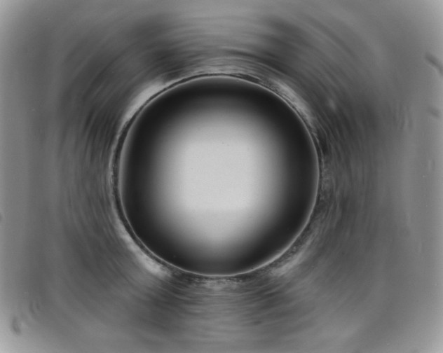 X0000098200803200804241251