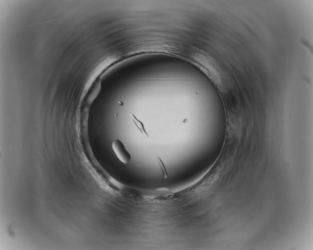 X0000098200804200804241251