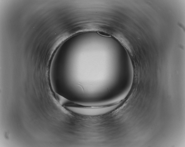 X0000098200805200804241251
