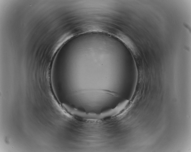 X0000098200806200804241251