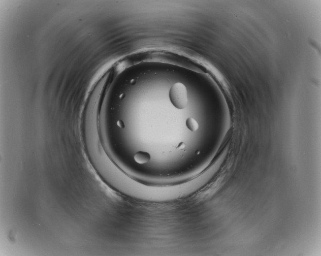 X0000098200807200804241251
