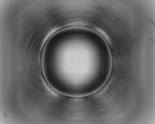 X0000098200808200804241251