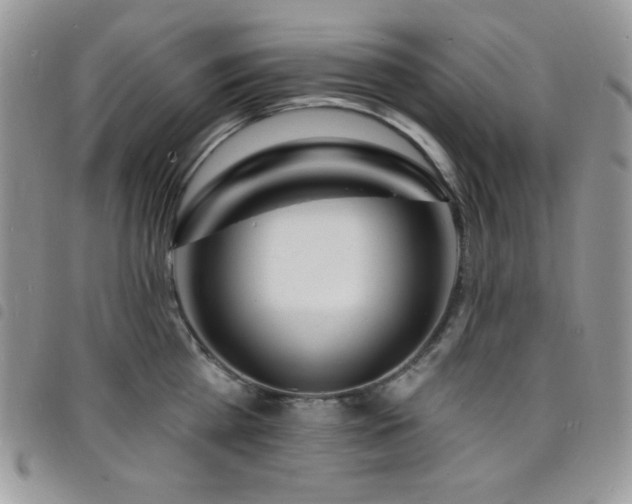 X0000098200809200804241251