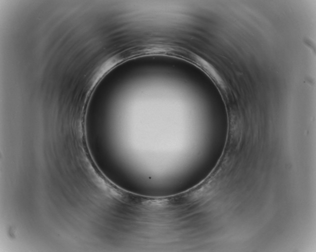 X0000098200810200804241251