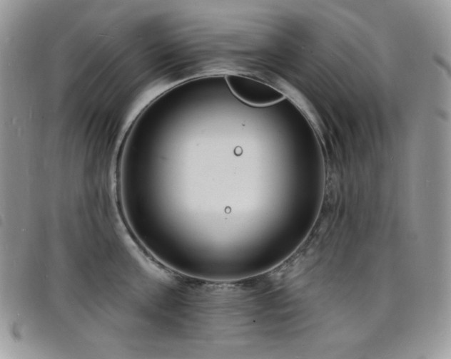 X0000098200811200804241251