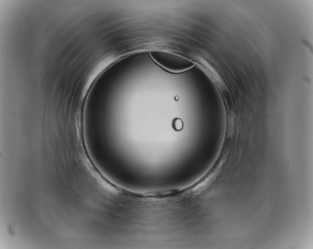 X0000098200812200804241251