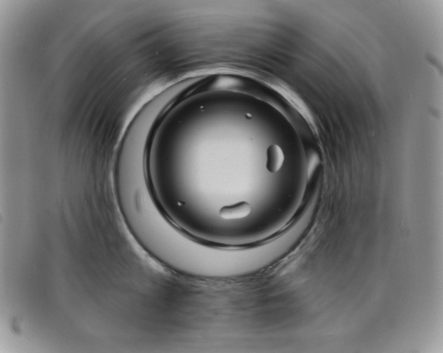 X0000098200813200804241251