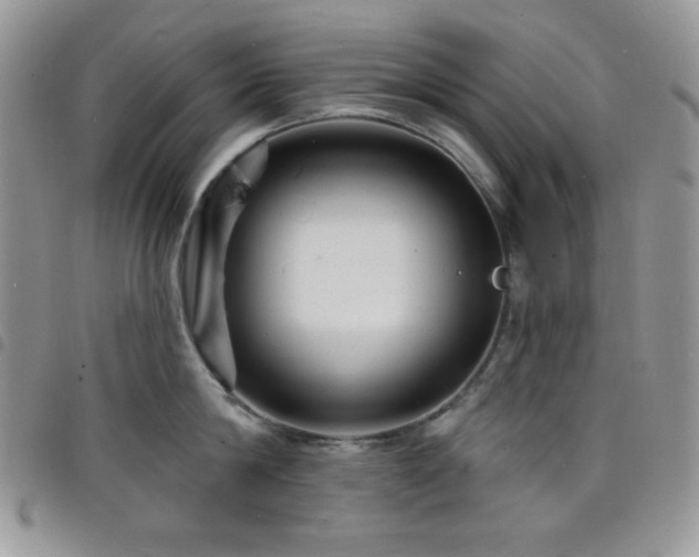 X0000098200814200804241251