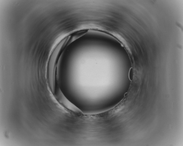 X0000098200815200804241251