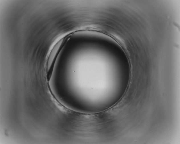 X0000098200816200804241251