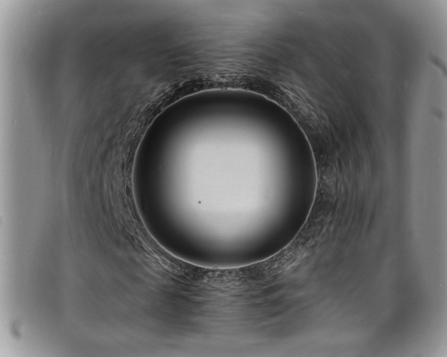 X0000098200817200804241250