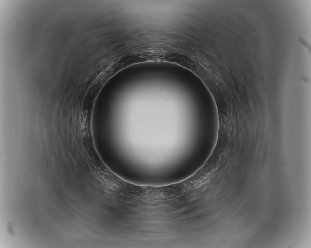 X0000098200818200804241250