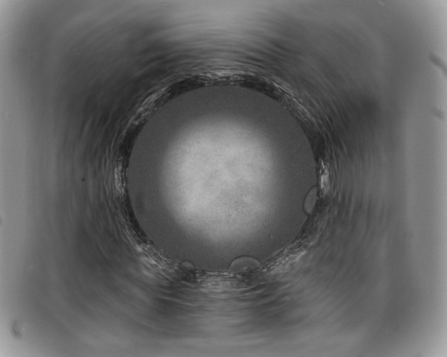 X0000098200819200804241250