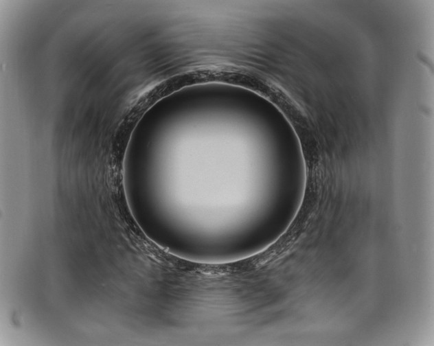 X0000098200822200804241250