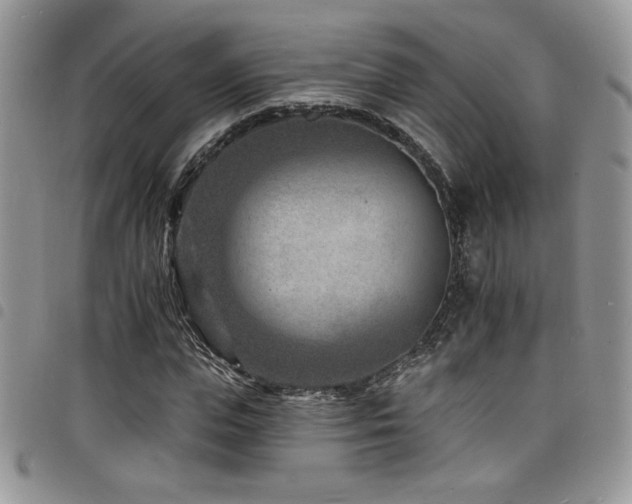X0000098200823200804241250