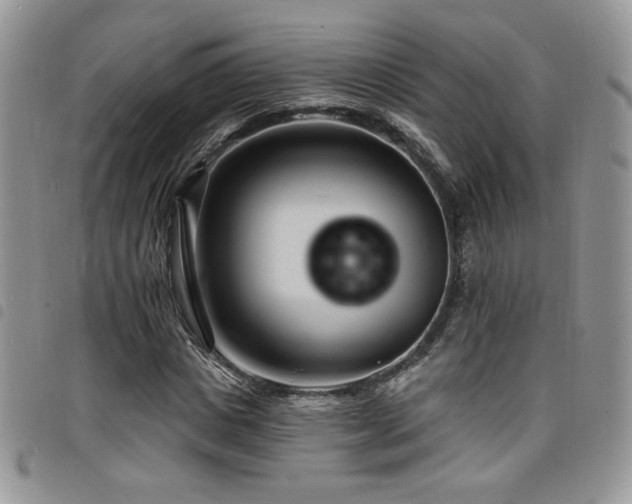 X0000098200825200804241250
