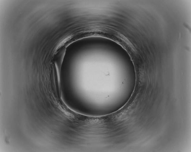 X0000098200826200804241250