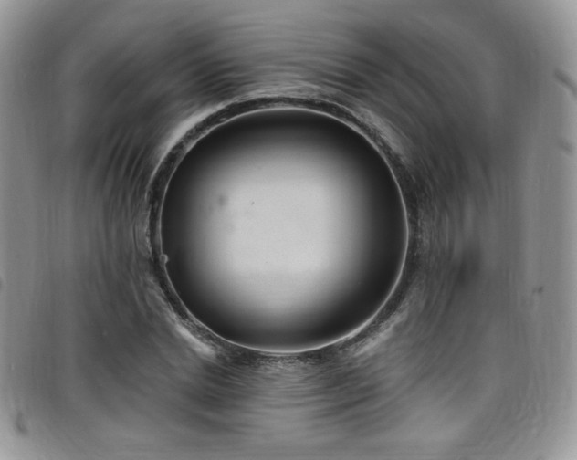X0000098200830200804241251