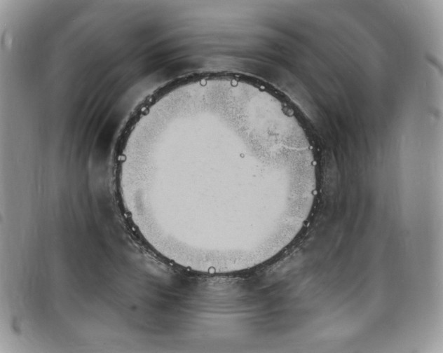 X0000098200832200804241251