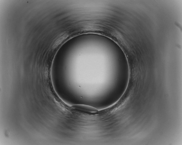 X0000098200833200804241251